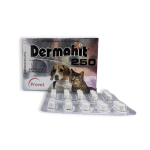 Dermohit 250 -20 Tabletas Capsulas Ranuradas