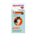 Bravecto 1M – 4.5-10kg – Tabletas antipulgas para perros - Imagen 2