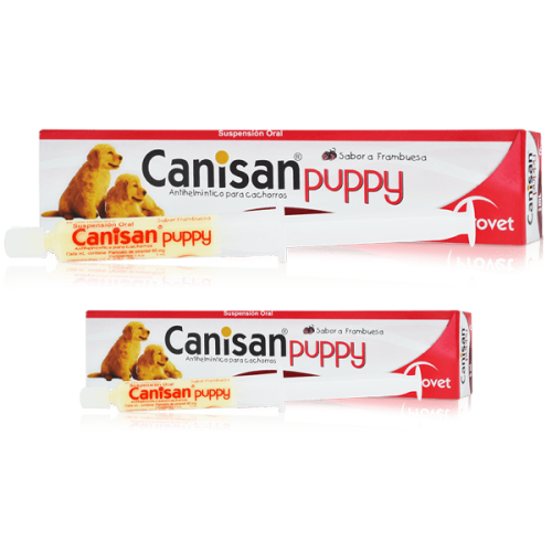 CANISAN-PUPPY 2