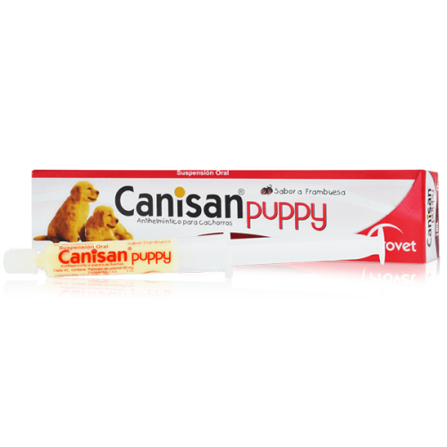 CANISAN-PUPPY-X-5
