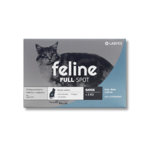 feline +5k