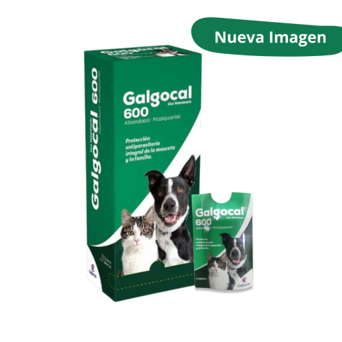 galgoc 600