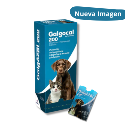 galgocal tienda