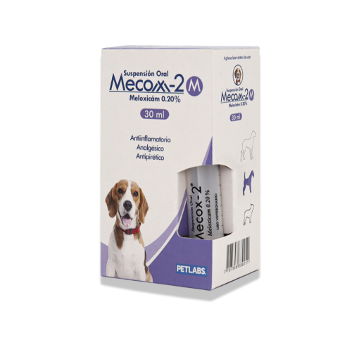 mecox-2 l galeria